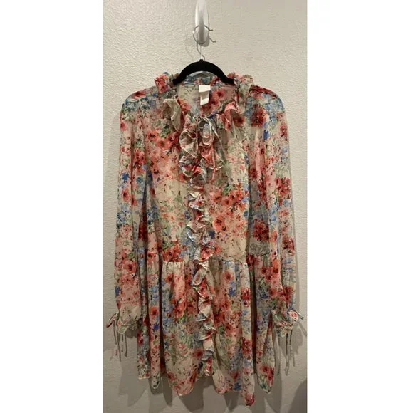 H&M Floral Long Sleeved Sheer Mini Dress H&M Floral Long Sleeved Sheer Mini Dress